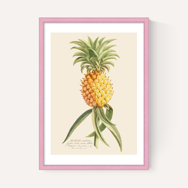 Ananas by Aster