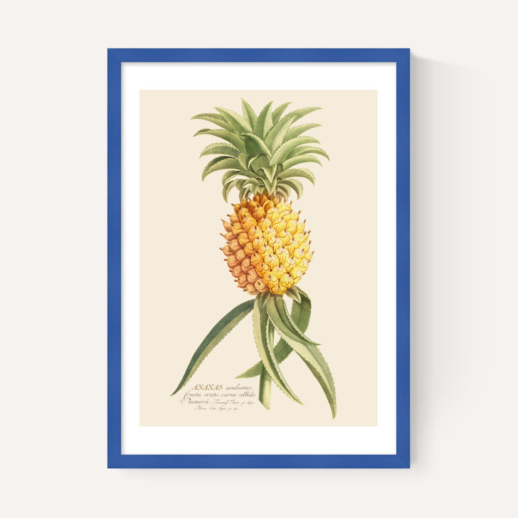 Ananas by Aster