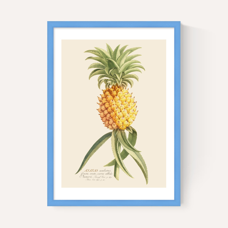 Ananas by Aster