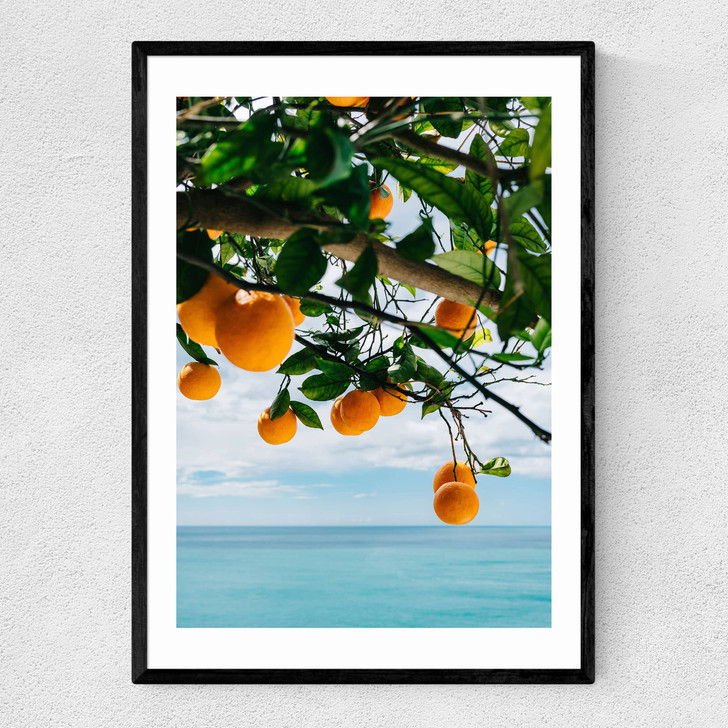 Amalfi Coast Oranges Narrow Black Frame