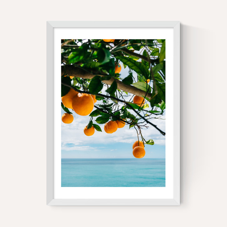 Amalfi Coast Oranges