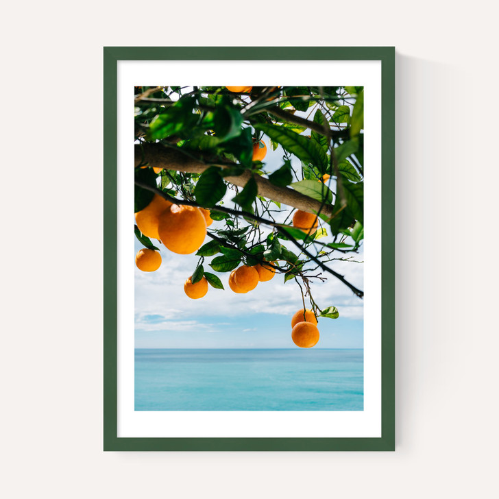 Amalfi Coast Oranges