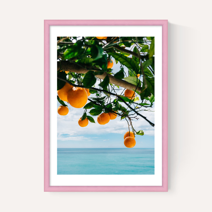 Amalfi Coast Oranges
