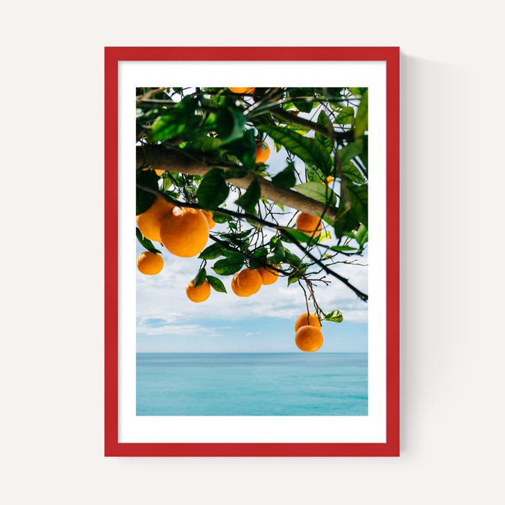Amalfi Coast Oranges