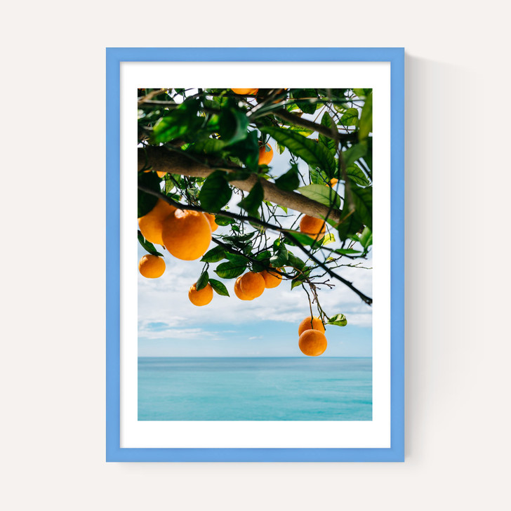 Amalfi Coast Oranges