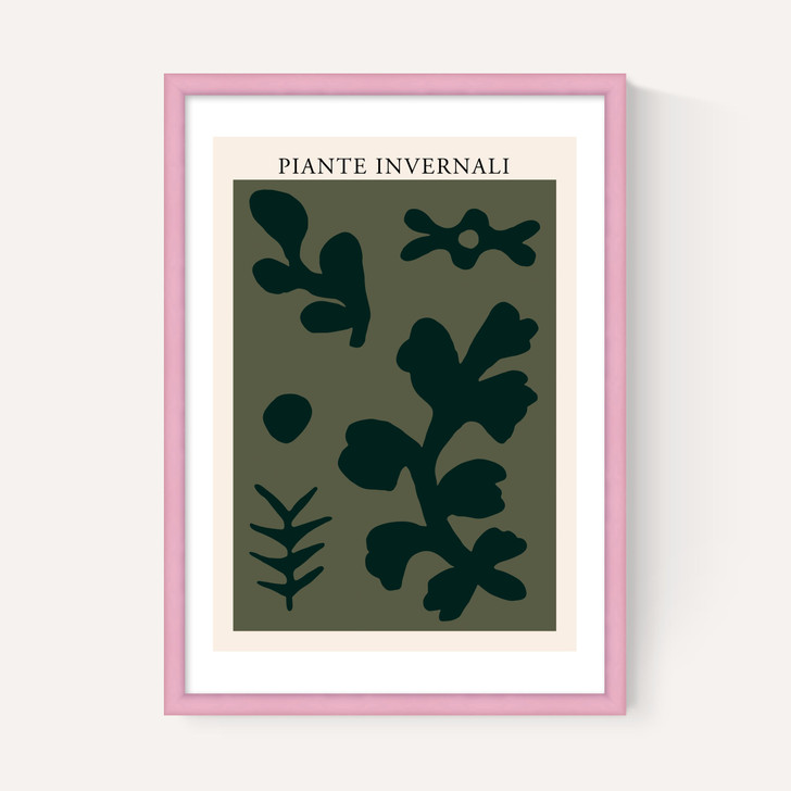 Piante Invernali Green