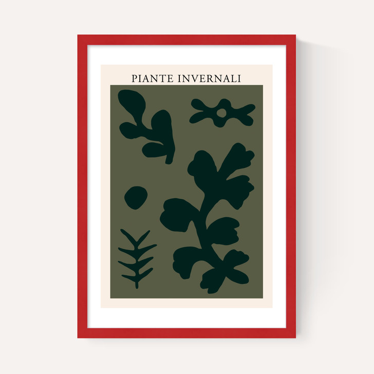 Piante Invernali Green