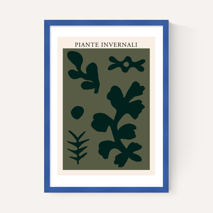 Piante Invernali Green