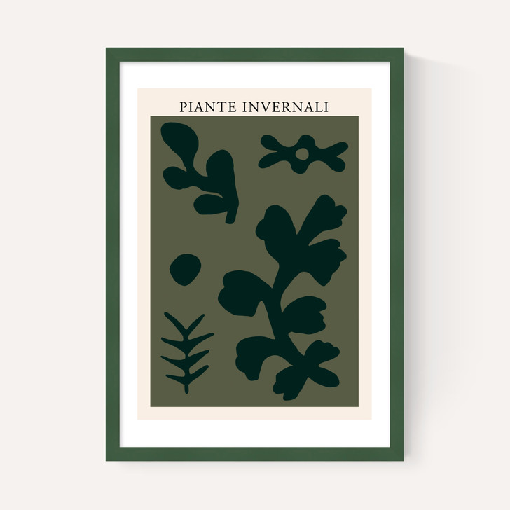 Piante Invernali Green