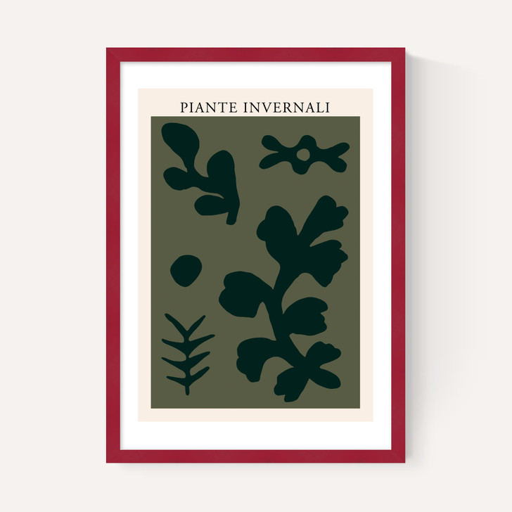 Piante Invernali Green