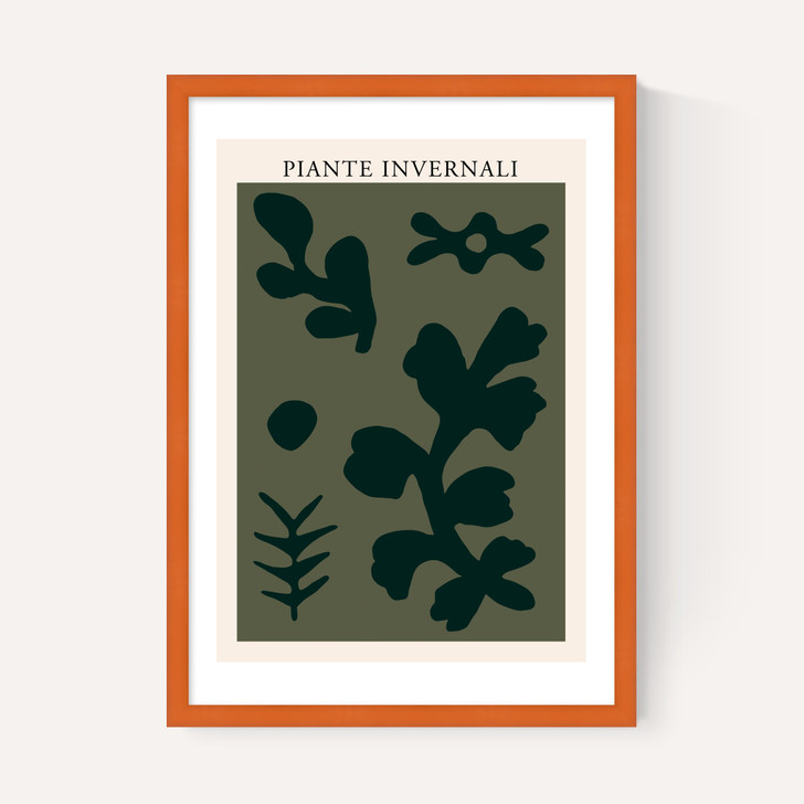 Piante Invernali Green