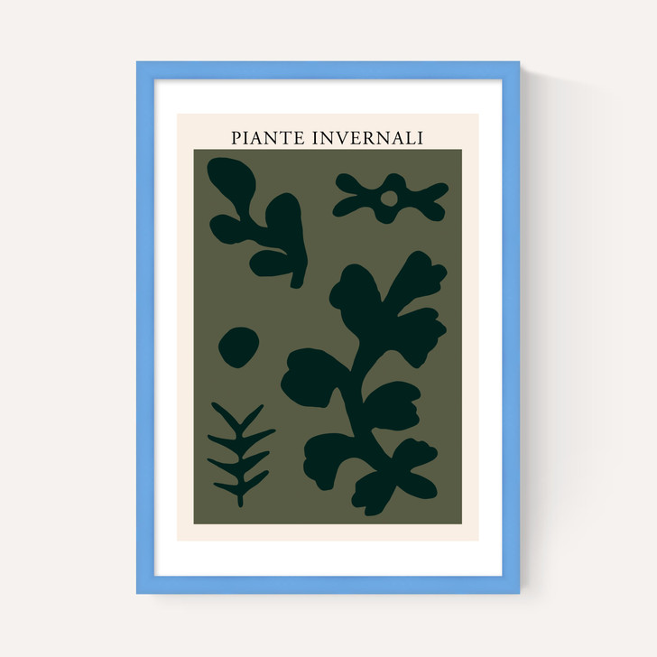 Piante Invernali Green