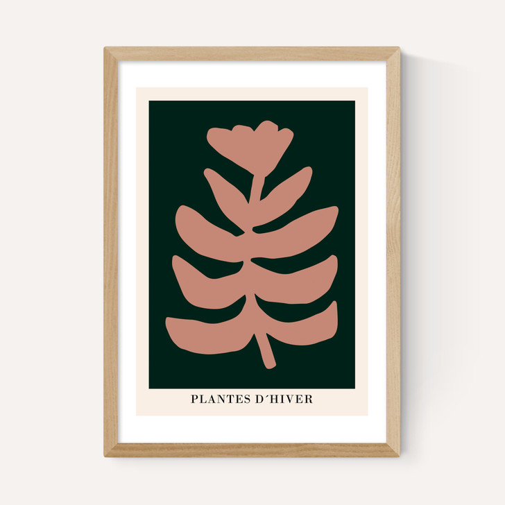 Plantes d'Hiver Green