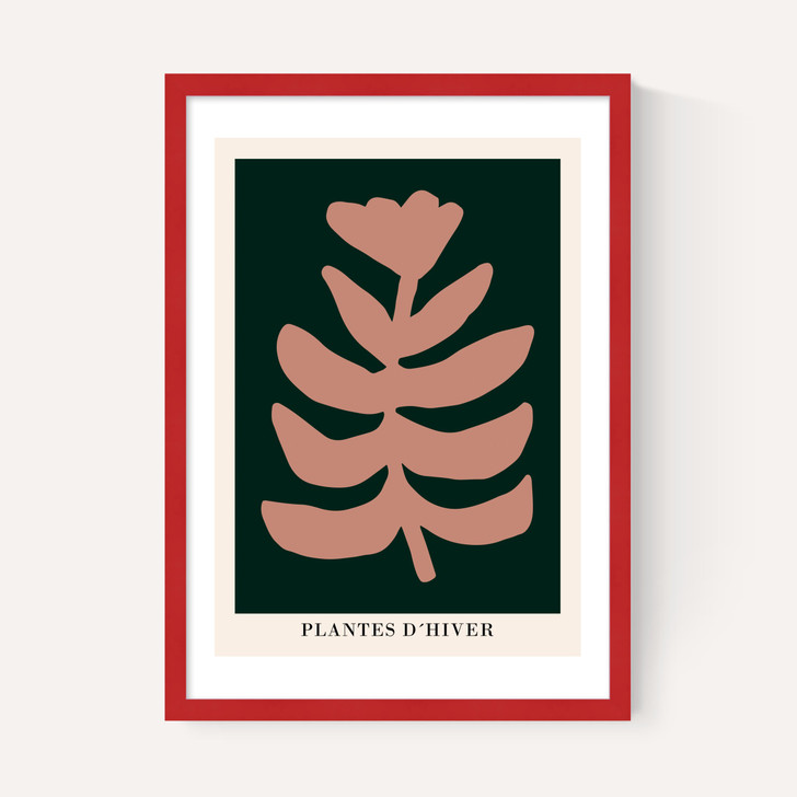 Plantes d'Hiver Green