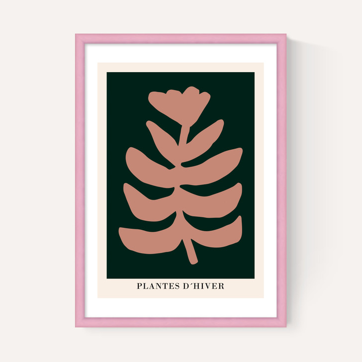 Plantes d'Hiver Green