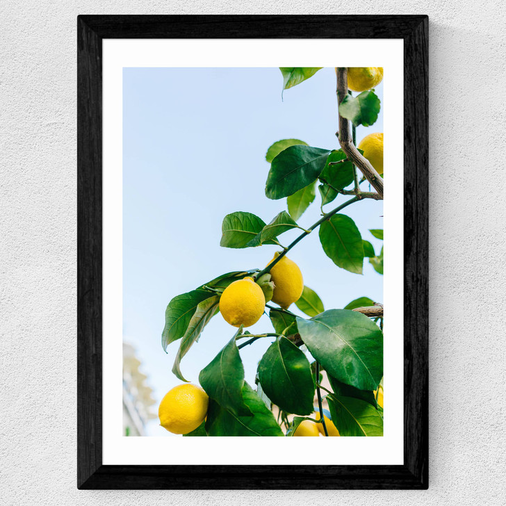 Amalfi Coast Lemons Wide Black Frame Amalfi Coast Lemons Wide Black Frame
