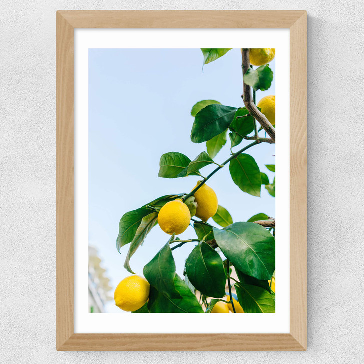 Amalfi Coast Lemons Wide Oak Frame Amalfi Coast Lemons Wide Oak Frame