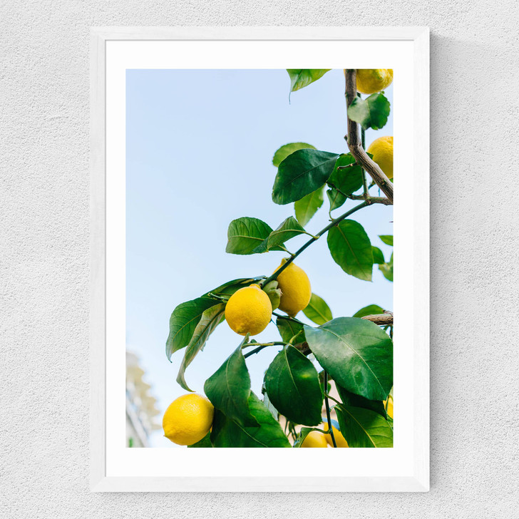 Amalfi Coast Lemons Medium White Frame Amalfi Coast Lemons Medium White Frame