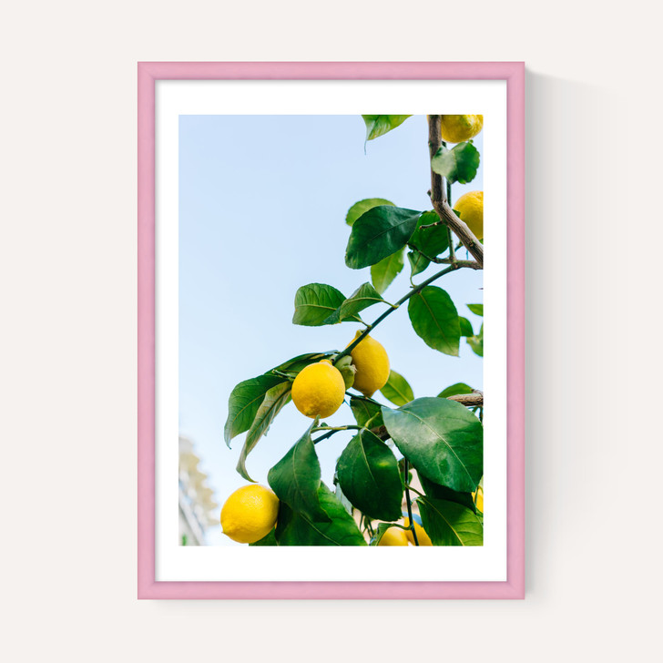 Amalfi Coast Lemons
