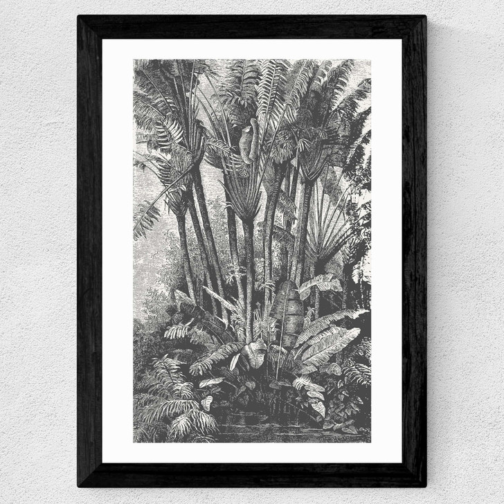 Palms in Water Wide Black Frame