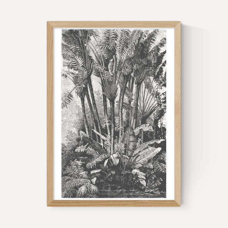Palms in Water