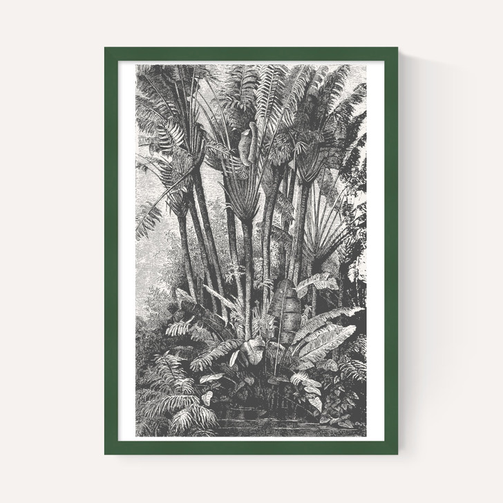 Palms in Water