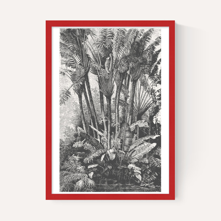 Palms in Water