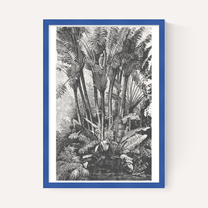 Palms in Water