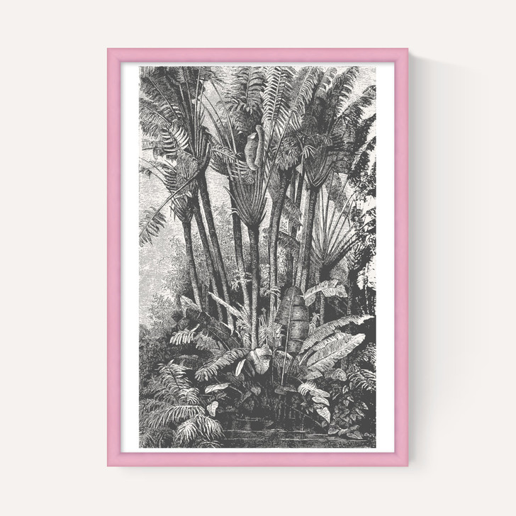 Palms in Water