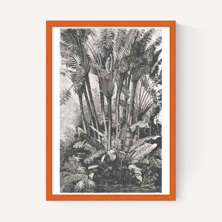Palms in Water