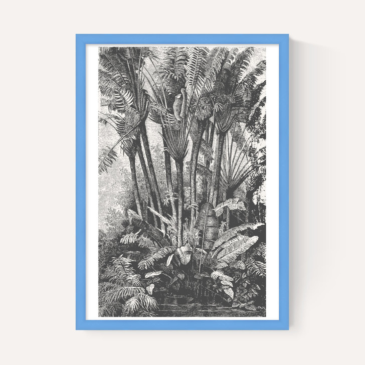 Palms in Water