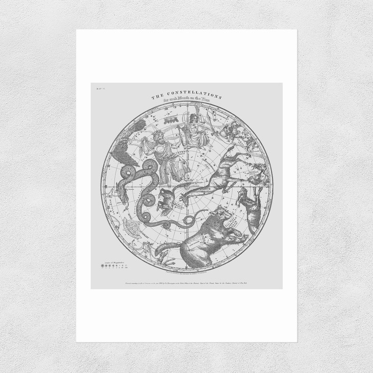 The Constellations Unframed Print The Constellations Unframed Print