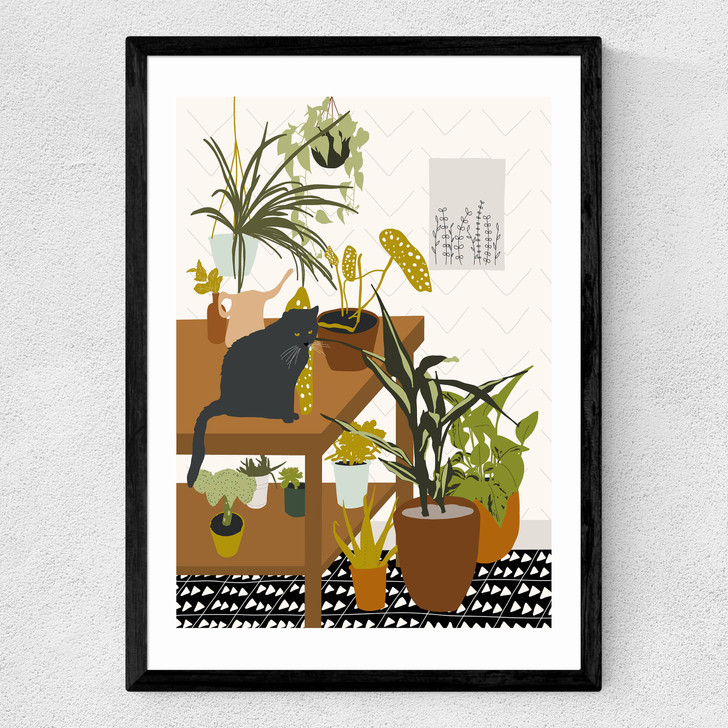 Cat House Plants Medium Black Frame
