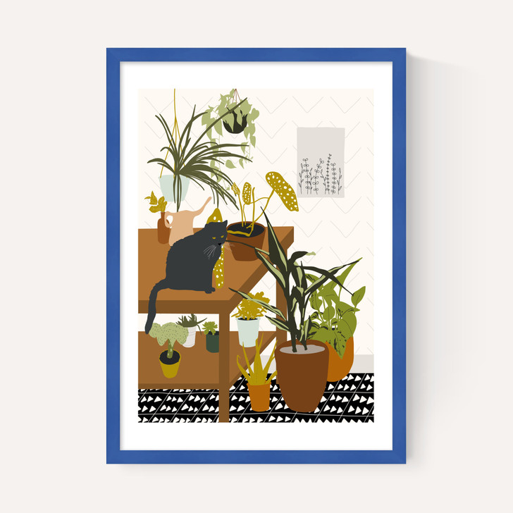 Cat House Plants