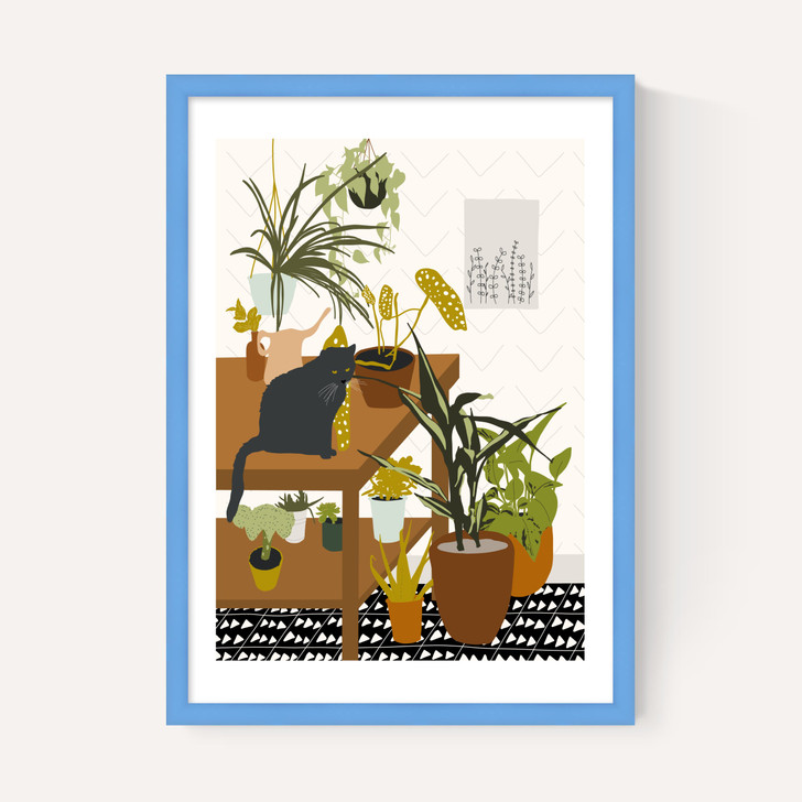 Cat House Plants