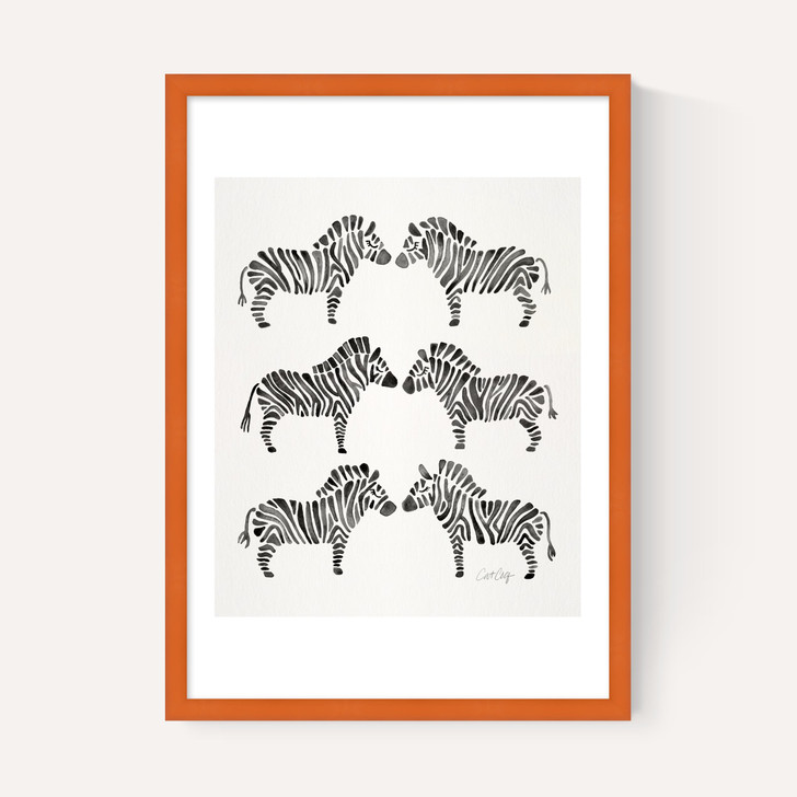 Black-Zebras