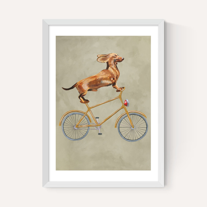 Dachshund On Bicycle