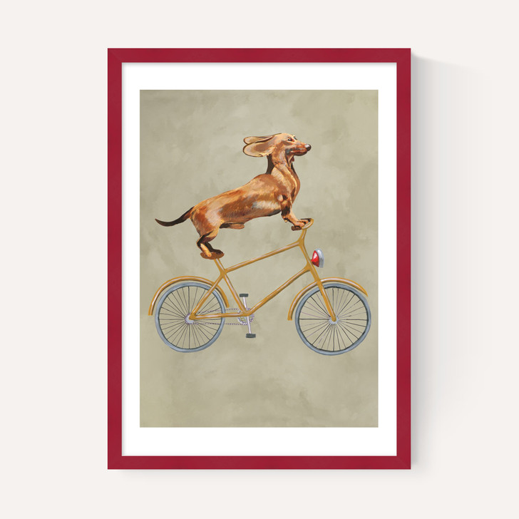 Dachshund On Bicycle