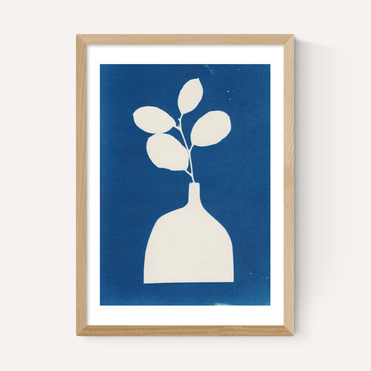 Cyanotype Still Life Studies II