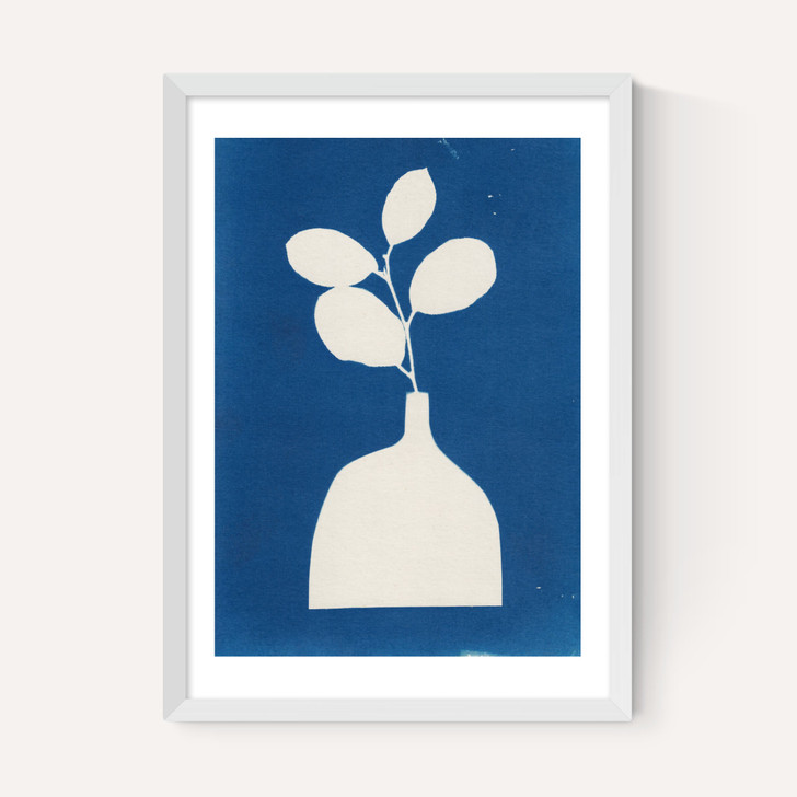 Cyanotype Still Life Studies II