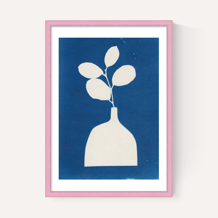 Cyanotype Still Life Studies II