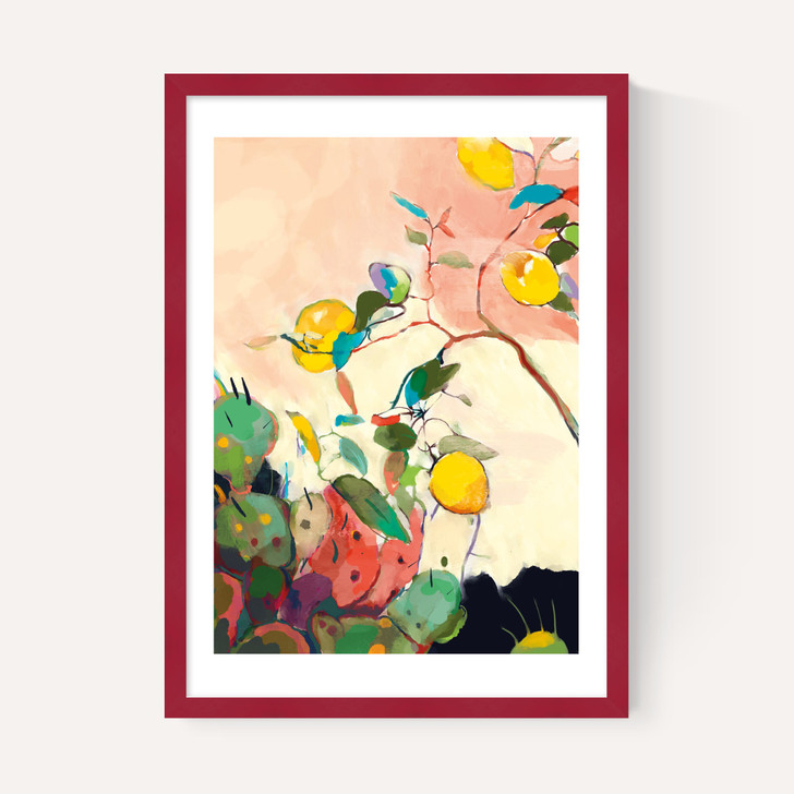 Citrus And Cacti