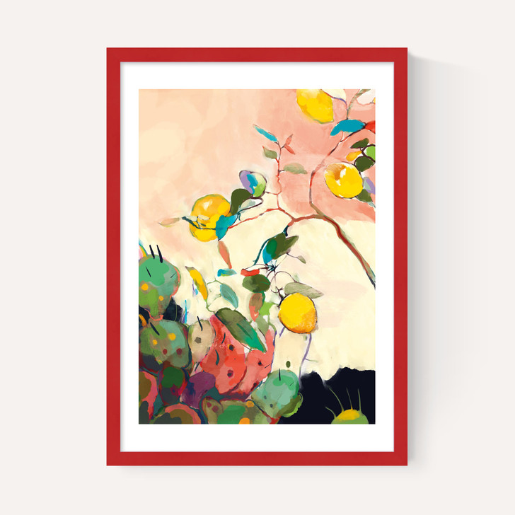 Citrus And Cacti