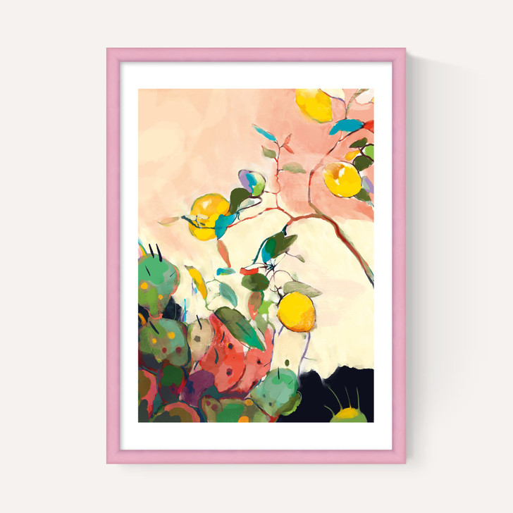 Citrus And Cacti