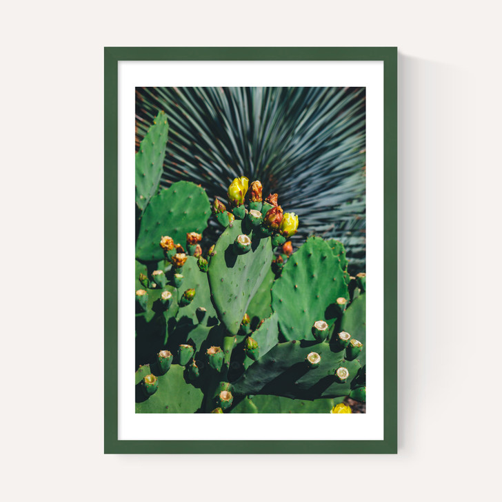 Wild Blooms