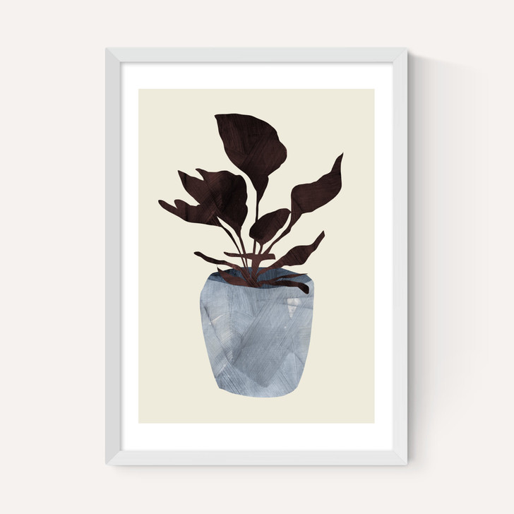 Country Plant