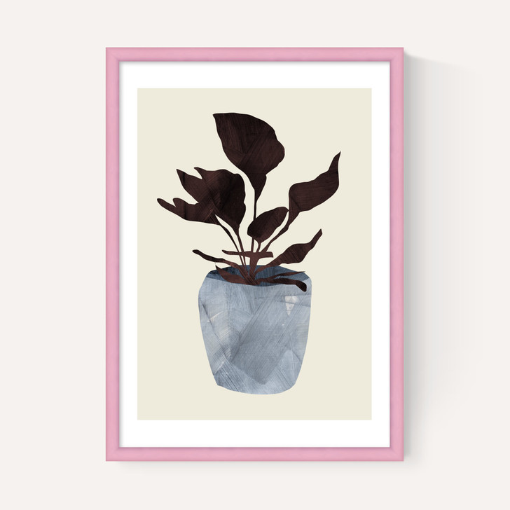 Country Plant