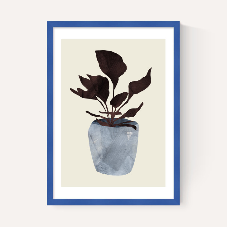 Country Plant