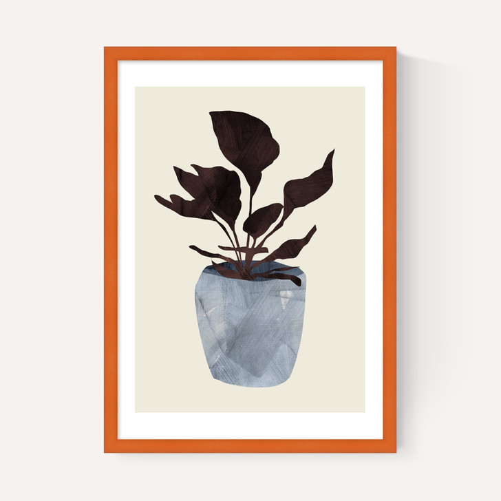 Country Plant
