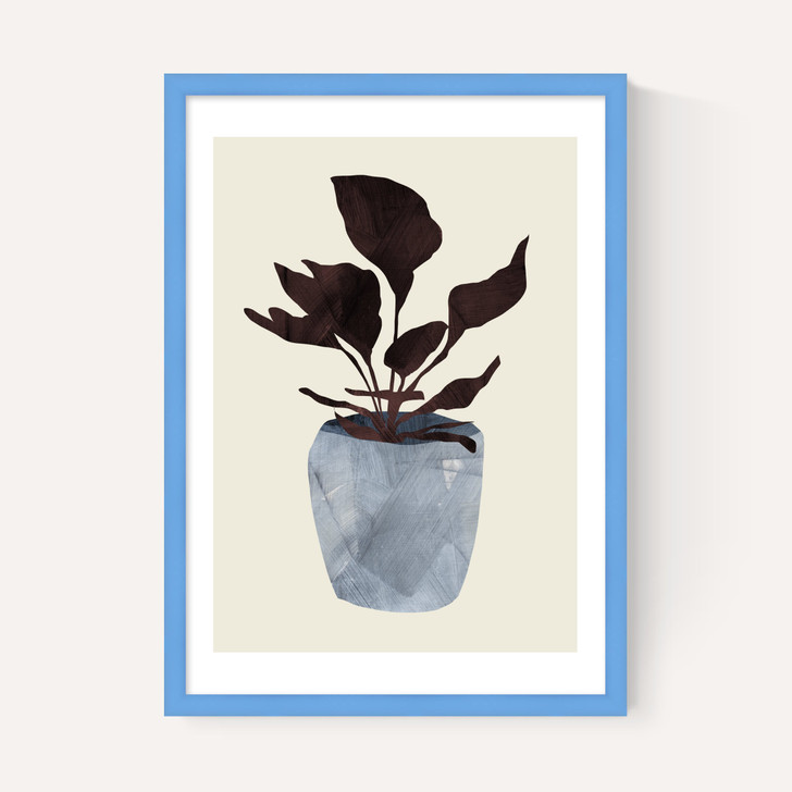 Country Plant